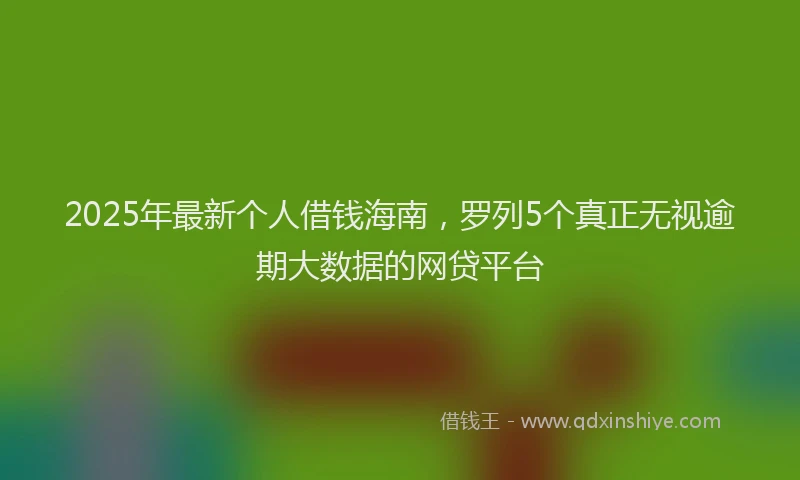 2025年最新个人借钱海南，罗列5个真正无视逾期大数据的网贷平台