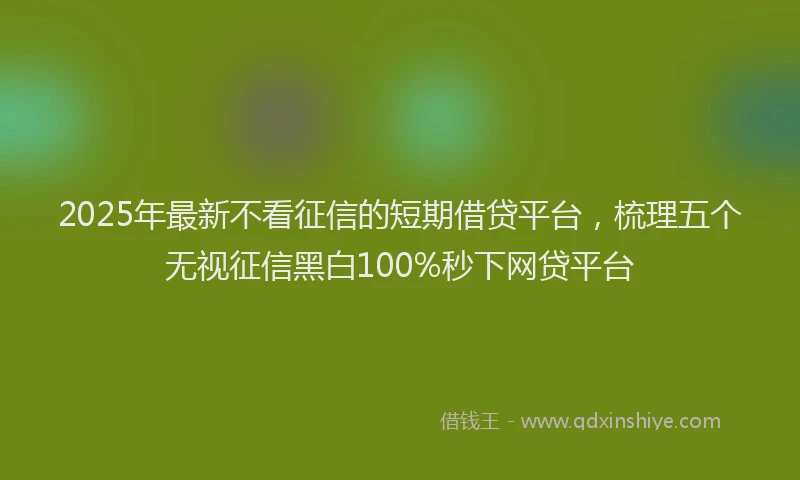 2025年最新不看征信的短期借贷平台，梳理五个无视征信黑白100%秒下网贷平台