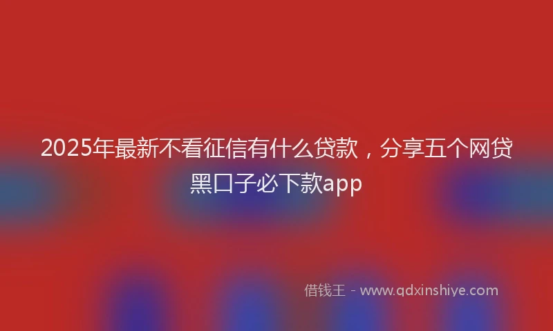 2025年最新不看征信有什么贷款，分享五个网贷黑口子必下款app