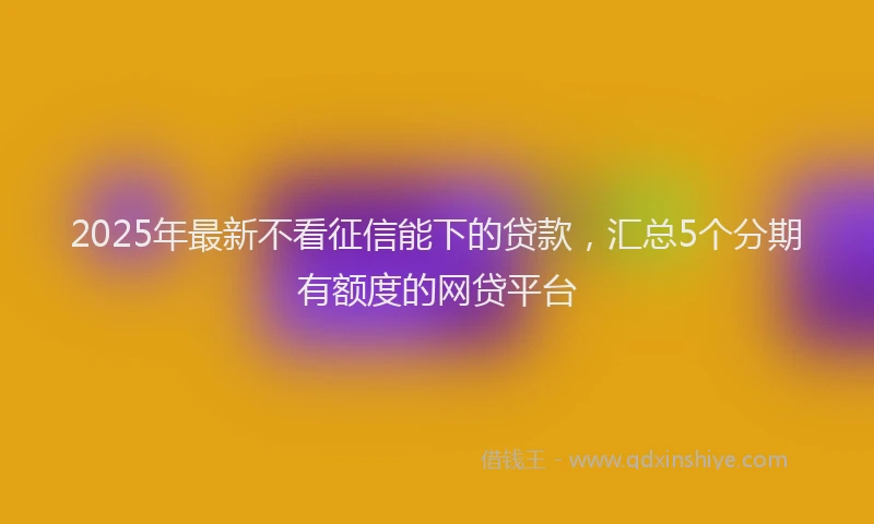 2025年最新不看征信能下的贷款，汇总5个分期有额度的网贷平台