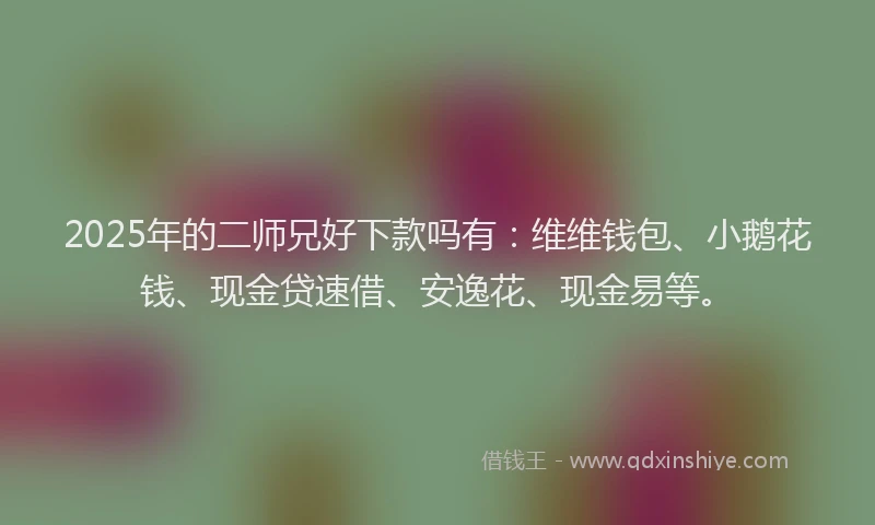 2025年的二师兄好下款吗有：维维钱包、小鹅花钱、现金贷速借、安逸花、现金易等。