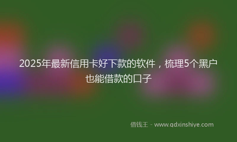 2025年最新信用卡好下款的软件，梳理5个黑户也能借款的口子