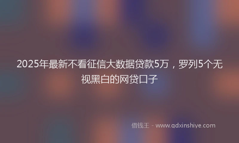 2025年最新不看征信大数据贷款5万，罗列5个无视黑白的网贷口子