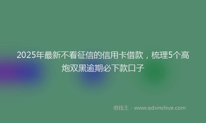 2025年最新不看征信的信用卡借款，梳理5个高炮双黑逾期必下款口子