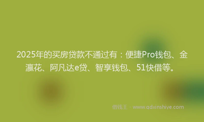2025年的买房贷款不通过有：便捷Pro钱包、金瀛花、阿凡达e贷、智享钱包、51快借等。