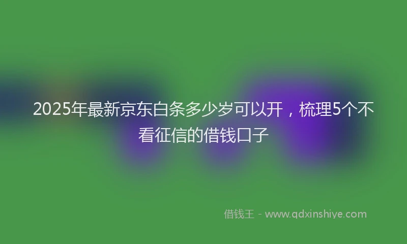 2025年最新京东白条多少岁可以开，梳理5个不看征信的借钱口子