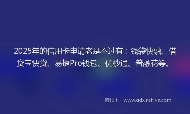 2025年的信用卡申请老是不过有：钱袋快融、借贷宝快贷、易捷Pro钱包、优秒通、普融花等。