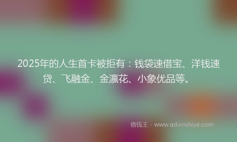 2025年的人生首卡被拒有：钱袋速借宝、洋钱速贷、飞融金、金瀛花、小象优品等。