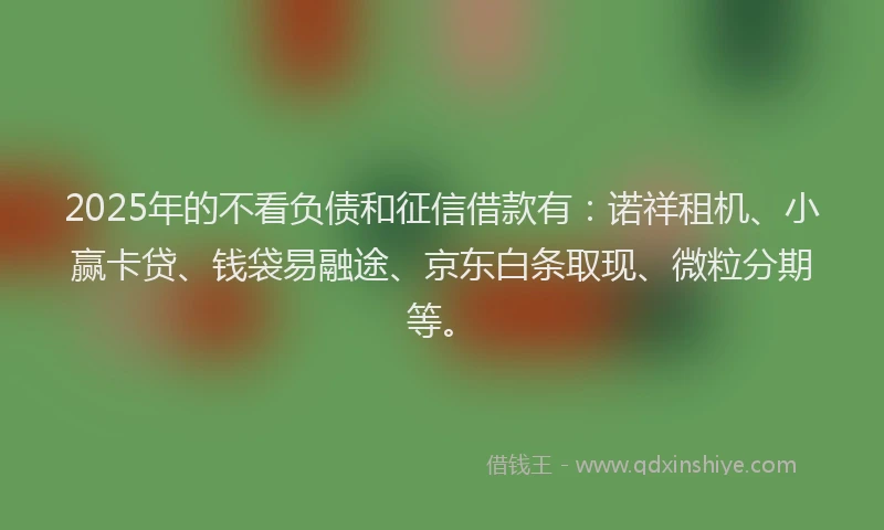 2025年的不看负债和征信借款有：诺祥租机、小赢卡贷、钱袋易融途、京东白条取现、微粒分期等。