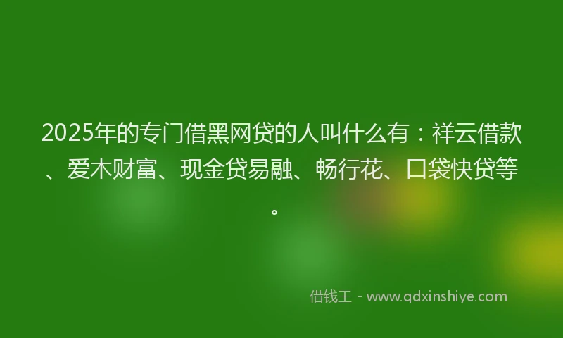 2025年的专门借黑网贷的人叫什么有：祥云借款、爱木财富、现金贷易融、畅行花、口袋快贷等。