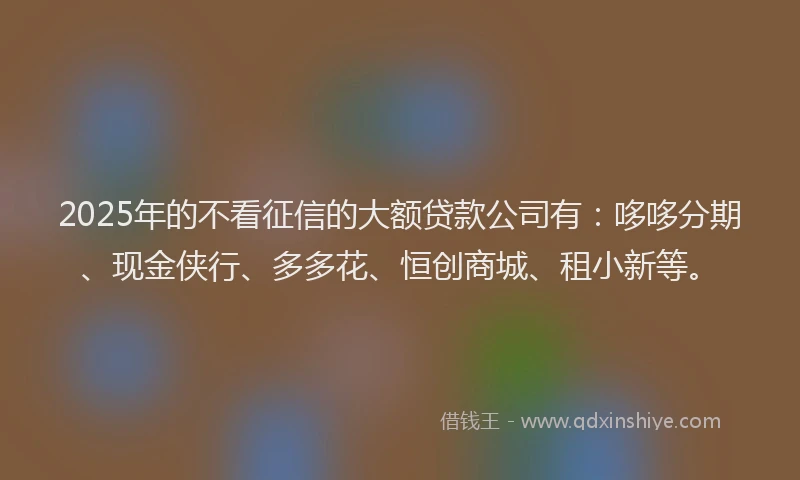 2025年的不看征信的大额贷款公司有：哆哆分期、现金侠行、多多花、恒创商城、租小新等。