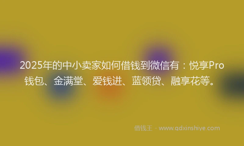 2025年的中小卖家如何借钱到微信有：悦享Pro钱包、金满堂、爱钱进、蓝领贷、融享花等。