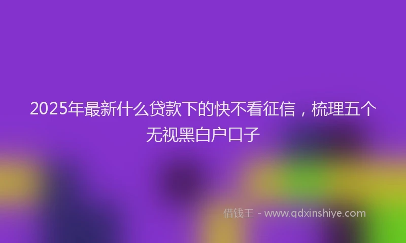 2025年最新什么贷款下的快不看征信，梳理五个无视黑白户口子