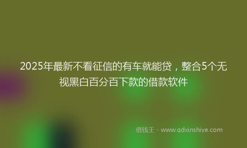 2025年最新不看征信的有车就能贷，整合5个无视黑白百分百下款的借款软件