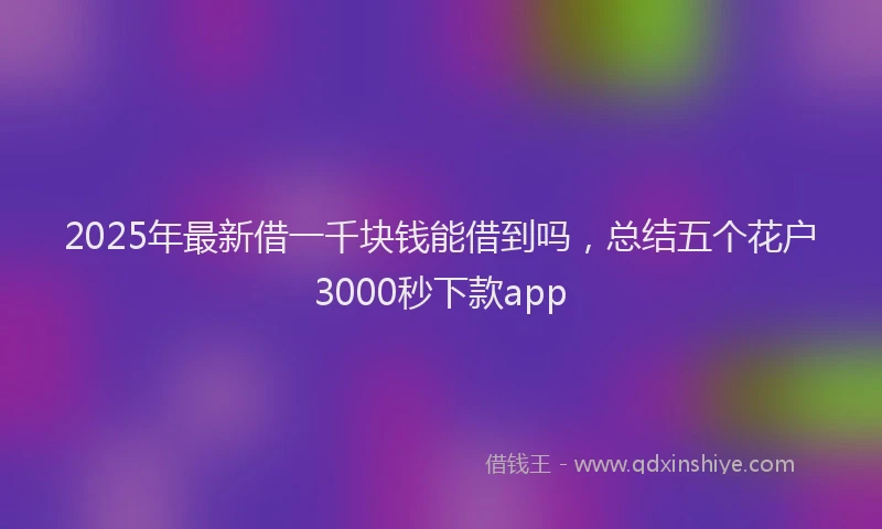 2025年最新借一千块钱能借到吗，总结五个花户3000秒下款app