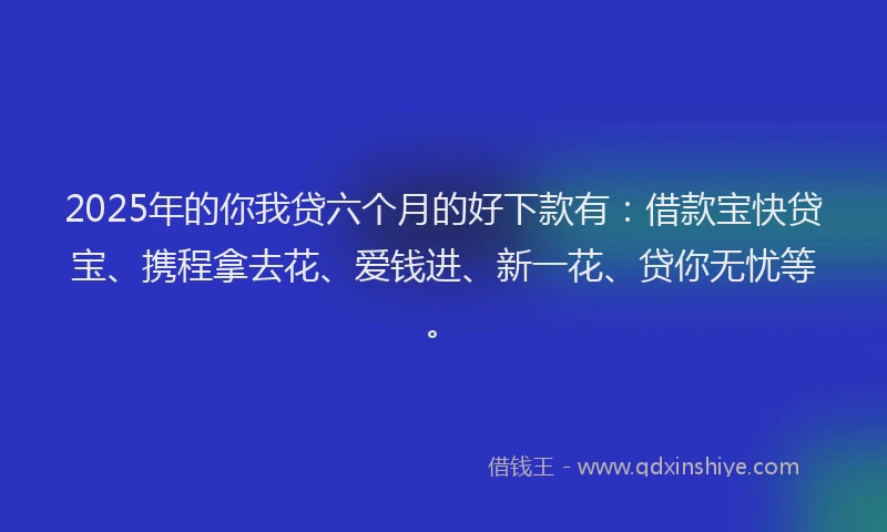 2025年的你我贷六个月的好下款有：借款宝快贷宝、携程拿去花、爱钱进、新一花、贷你无忧等。