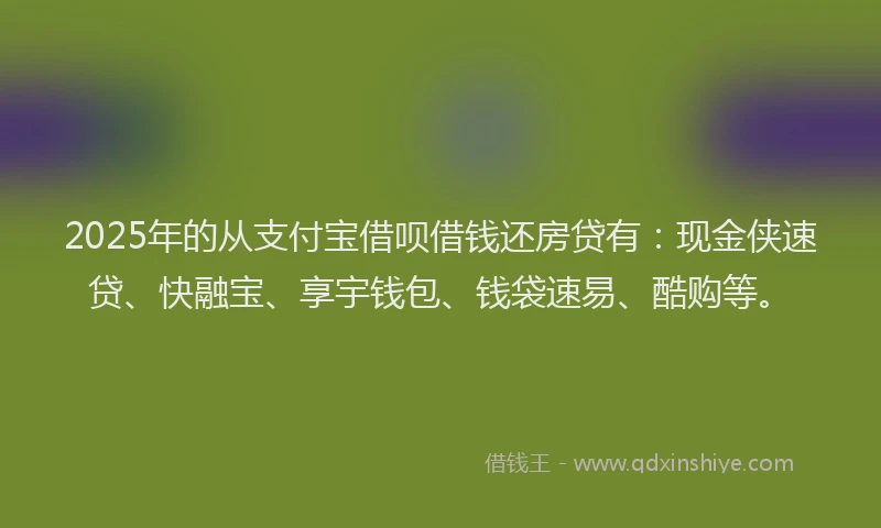 2025年的从支付宝借呗借钱还房贷有：现金侠速贷、快融宝、享宇钱包、钱袋速易、酷购等。