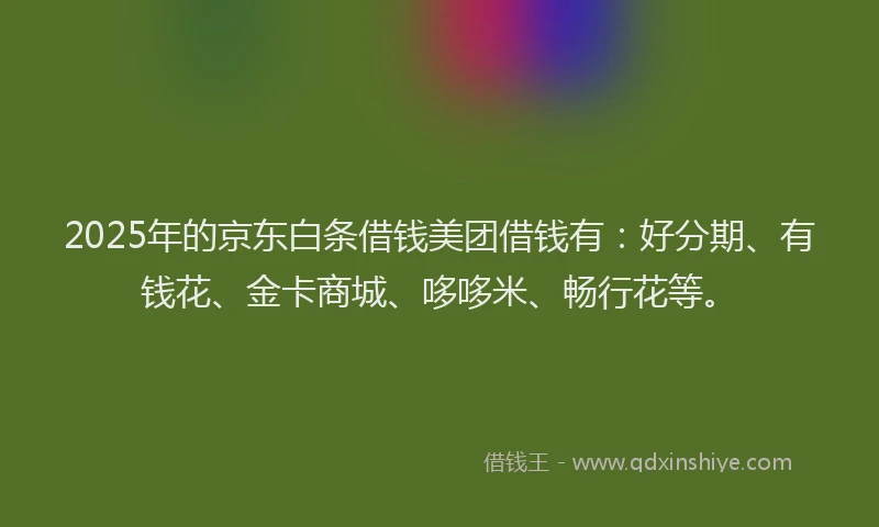 2025年的京东白条借钱美团借钱有：好分期、有钱花、金卡商城、哆哆米、畅行花等。