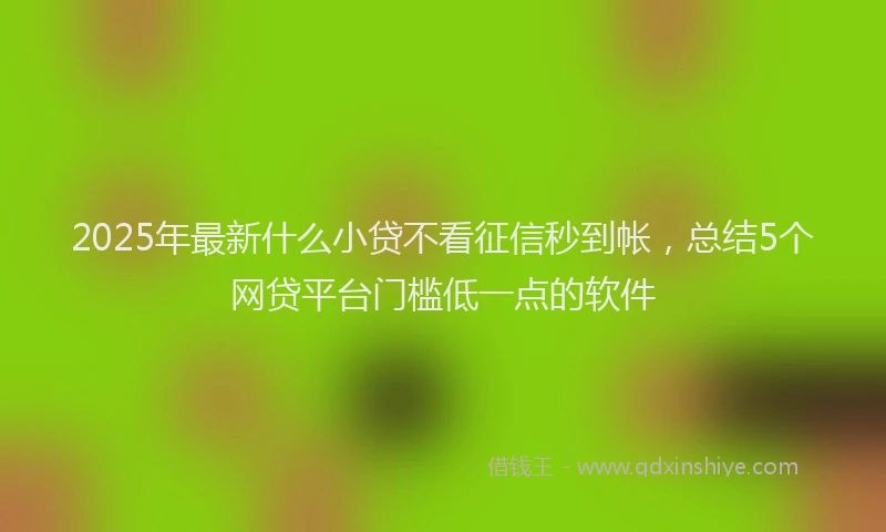 2025年最新什么小贷不看征信秒到帐，总结5个网贷平台门槛低一点的软件