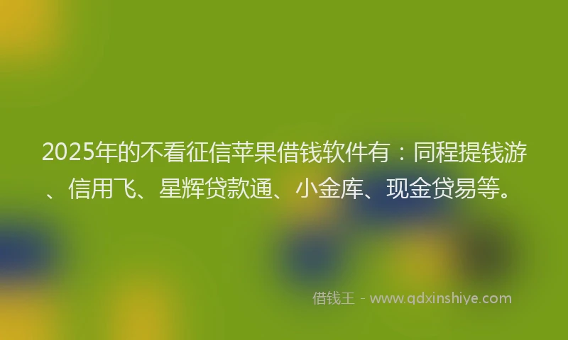 2025年的不看征信苹果借钱软件有：同程提钱游、信用飞、星辉贷款通、小金库、现金贷易等。