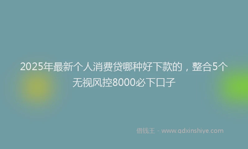 2025年最新个人消费贷哪种好下款的，整合5个无视风控8000必下口子
