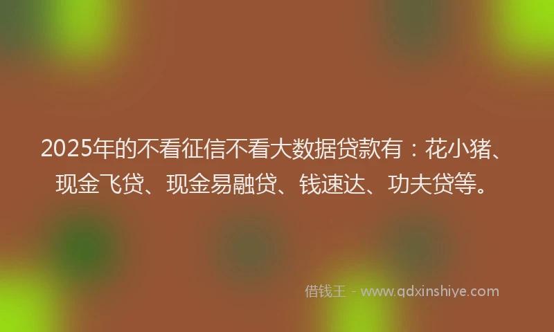 2025年的不看征信不看大数据贷款有：花小猪、现金飞贷、现金易融贷、钱速达、功夫贷等。