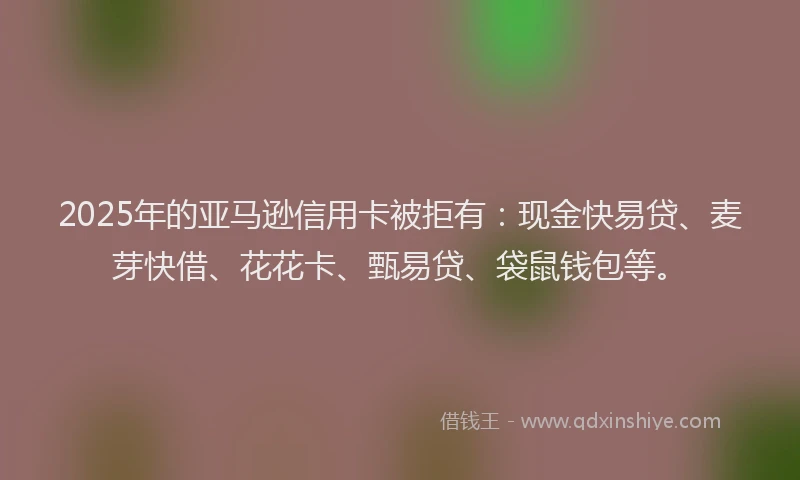 2025年的亚马逊信用卡被拒有：现金快易贷、麦芽快借、花花卡、甄易贷、袋鼠钱包等。