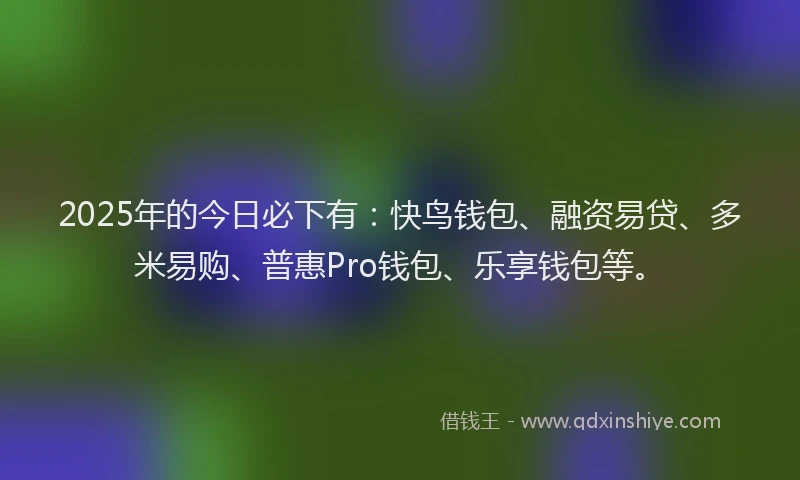 2025年的今日必下有：快鸟钱包、融资易贷、多米易购、普惠Pro钱包、乐享钱包等。