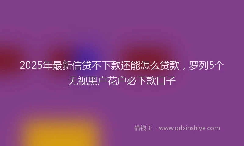 2025年最新信贷不下款还能怎么贷款，罗列5个无视黑户花户必下款口子
