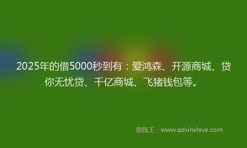 2025年的借5000秒到有：爱鸿森、开源商城、贷你无忧贷、千亿商城、飞猪钱包等。