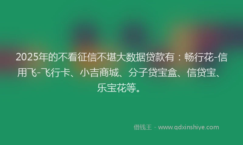 2025年的不看征信不堪大数据贷款有：畅行花-信用飞-飞行卡、小吉商城、分子贷宝盒、信贷宝、乐宝花等。