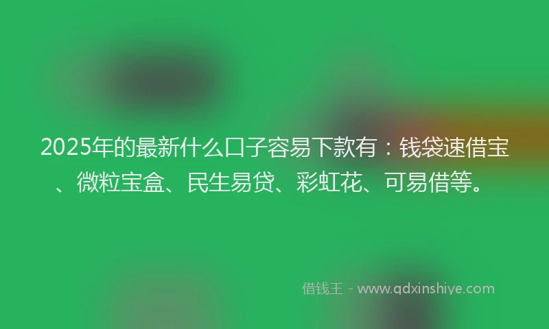 2025年的最新什么口子容易下款有：钱袋速借宝、微粒宝盒、民生易贷、彩虹花、可易借等。