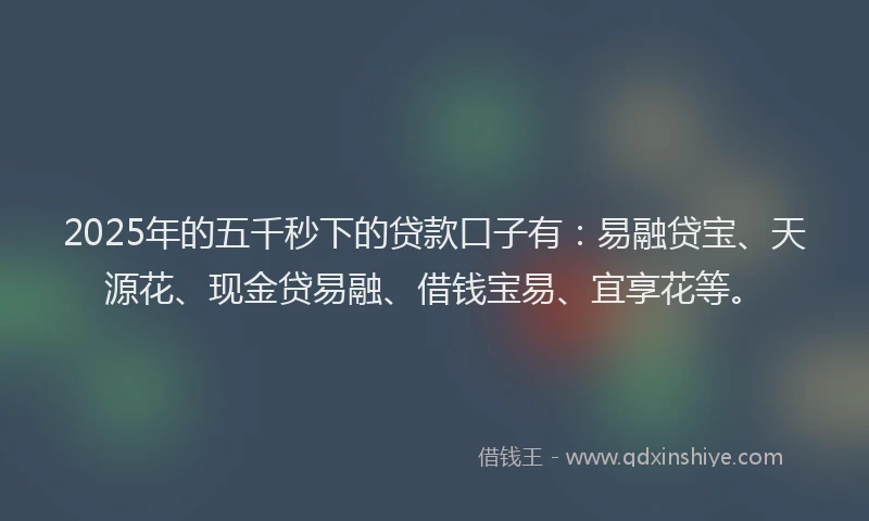 2025年的五千秒下的贷款口子有：易融贷宝、天源花、现金贷易融、借钱宝易、宜享花等。