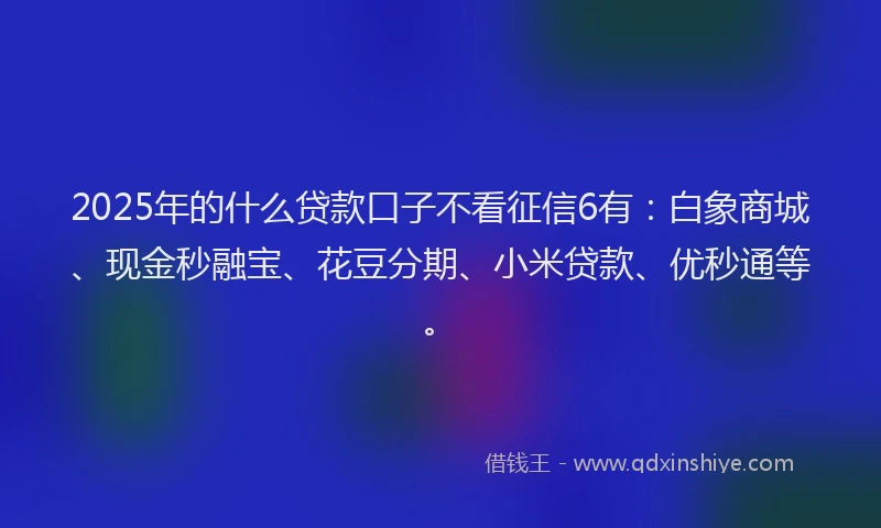 2025年的什么贷款口子不看征信6有：白象商城、现金秒融宝、花豆分期、小米贷款、优秒通等。