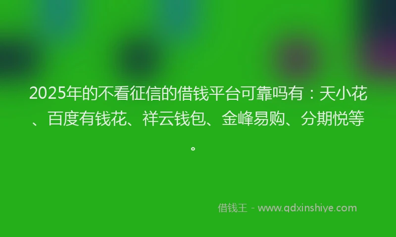 2025年的不看征信的借钱平台可靠吗有：天小花、百度有钱花、祥云钱包、金峰易购、分期悦等。