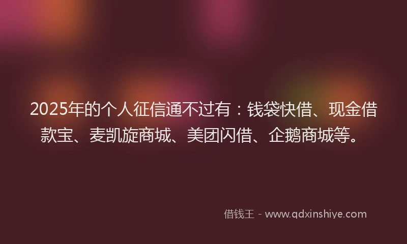2025年的个人征信通不过有：钱袋快借、现金借款宝、麦凯旋商城、美团闪借、企鹅商城等。