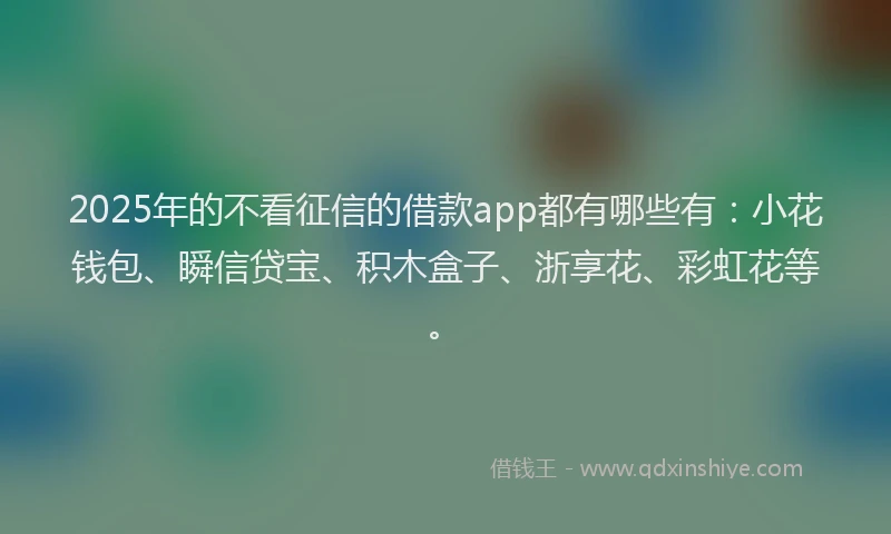 2025年的不看征信的借款app都有哪些有：小花钱包、瞬信贷宝、积木盒子、浙享花、彩虹花等。