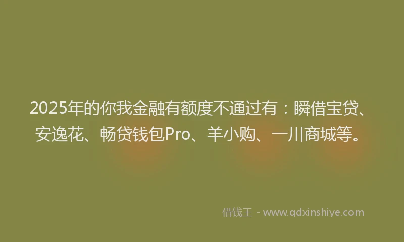 2025年的你我金融有额度不通过有：瞬借宝贷、安逸花、畅贷钱包Pro、羊小购、一川商城等。