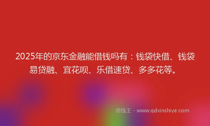 2025年的京东金融能借钱吗有：钱袋快借、钱袋易贷融、宜花呗、乐借速贷、多多花等。