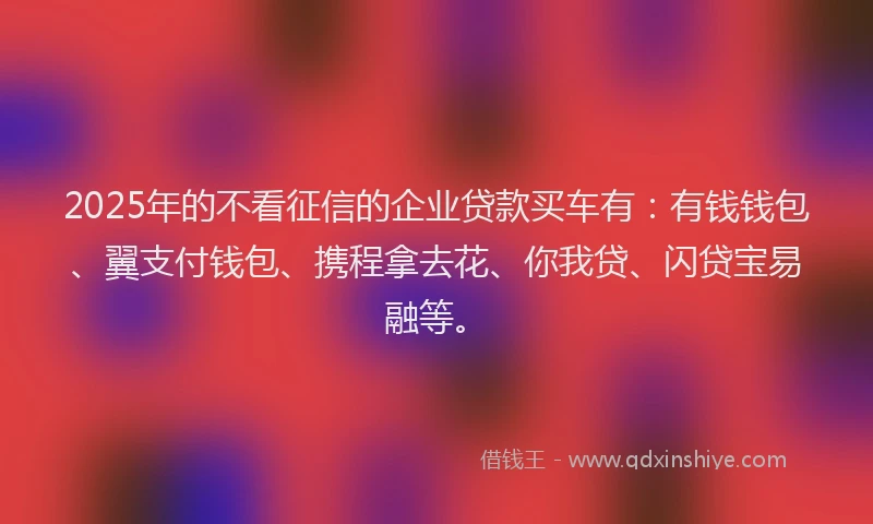 2025年的不看征信的企业贷款买车有：有钱钱包、翼支付钱包、携程拿去花、你我贷、闪贷宝易融等。