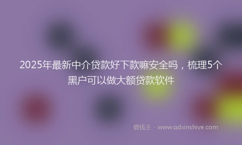 2025年最新中介贷款好下款嘛安全吗，梳理5个黑户可以做大额贷款软件