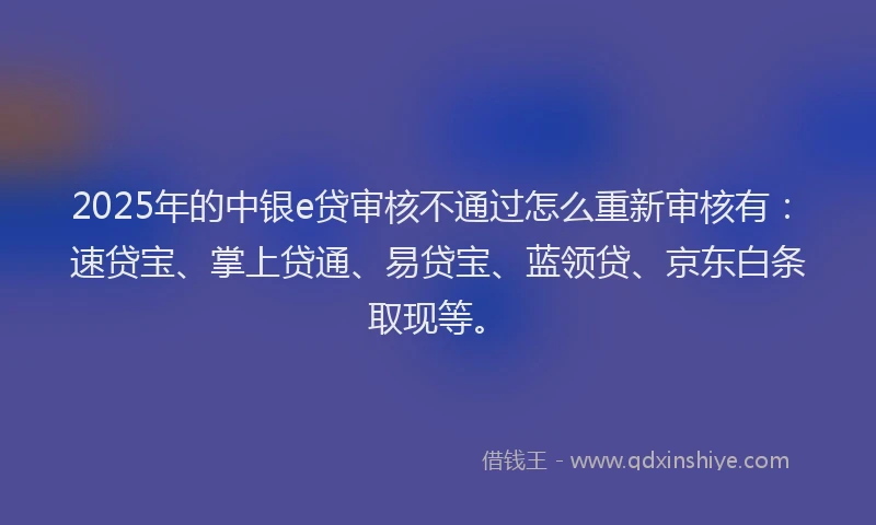 2025年的中银e贷审核不通过怎么重新审核有：速贷宝、掌上贷通、易贷宝、蓝领贷、京东白条取现等。