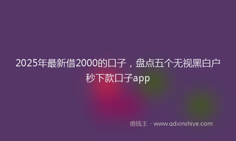 2025年最新借2000的口子，盘点五个无视黑白户秒下款口子app