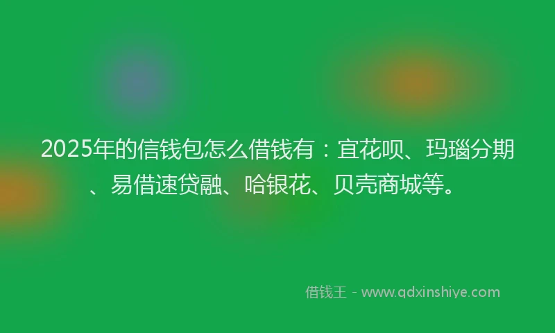 2025年的信钱包怎么借钱有：宜花呗、玛瑙分期、易借速贷融、哈银花、贝壳商城等。