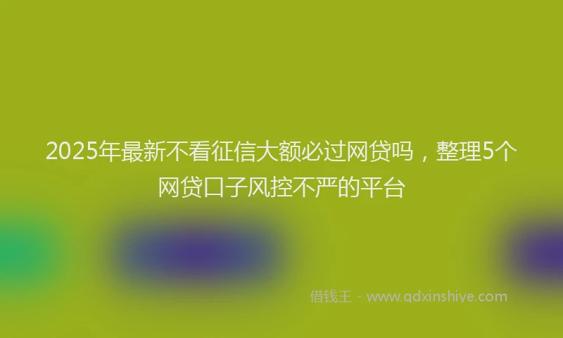 2025年最新不看征信大额必过网贷吗，整理5个网贷口子风控不严的平台