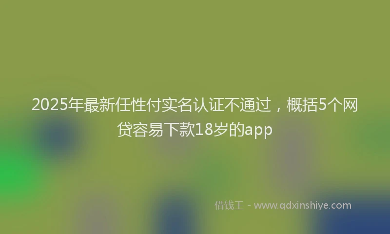 2025年最新任性付实名认证不通过，概括5个网贷容易下款18岁的app