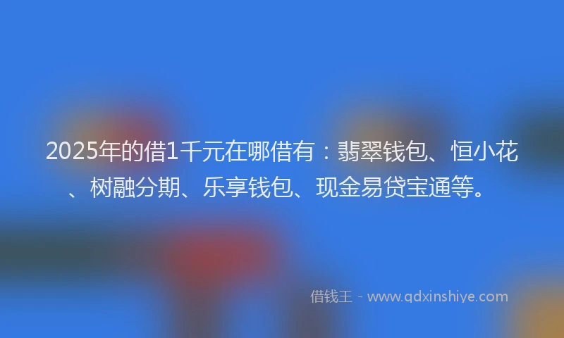 2025年的借1千元在哪借有：翡翠钱包、恒小花、树融分期、乐享钱包、现金易贷宝通等。