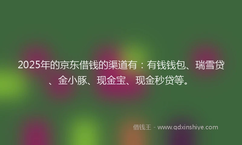 2025年的京东借钱的渠道有：有钱钱包、瑞雪贷、金小豚、现金宝、现金秒贷等。