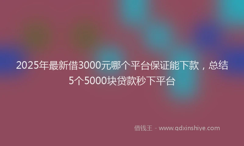 2025年最新借3000元哪个平台保证能下款，总结5个5000块贷款秒下平台