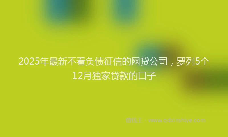 2025年最新不看负债征信的网贷公司，罗列5个12月独家贷款的口子